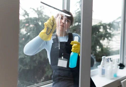 Nettoyage de vitres intérieures et extérieures à Valentine